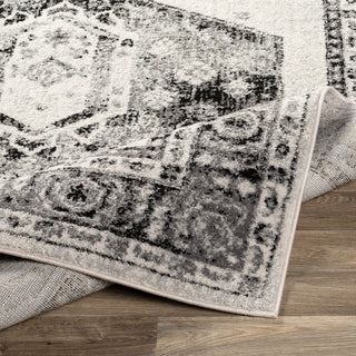 Surya Chester CHE-2324 Area Rug