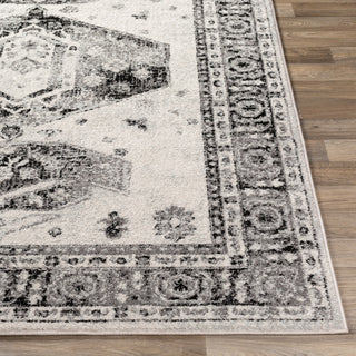 Surya Chester CHE-2324 Area Rug