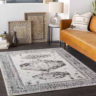 Surya Chester CHE-2324 Area Rug Room Scene Feature