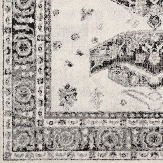 Surya Chester CHE-2324 Area Rug