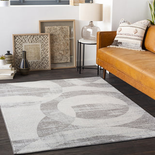 Surya Chester CHE-2325 Area Rug Room Scene Feature