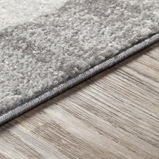 Surya Chester CHE-2325 Area Rug