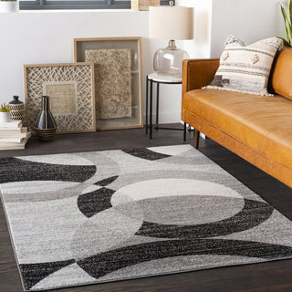 Surya Chester CHE-2326 Area Rug Room Scene Feature