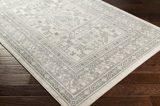 Surya Chester CHE-2328 Area Rug