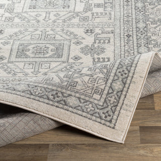 Surya Chester CHE-2328 Area Rug