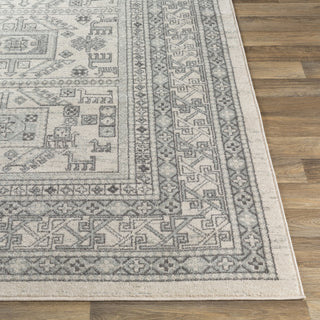 Surya Chester CHE-2328 Area Rug