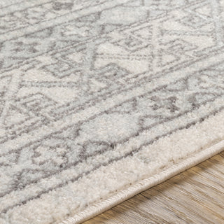 Surya Chester CHE-2328 Area Rug