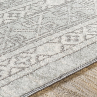 Surya Chester CHE-2329 Area Rug