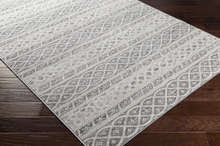 Surya Chester CHE-2335 Area Rug