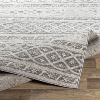 Surya Chester CHE-2335 Area Rug