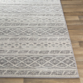 Surya Chester CHE-2335 Area Rug