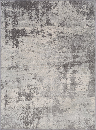 Livabliss Chester CHE-2340 Area Rug