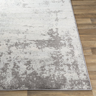 Livabliss Chester CHE-2340 Area Rug