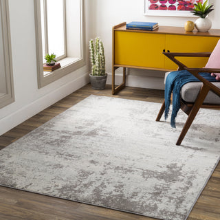 Surya Chester CHE-2340 Area Rug Room Scene Feature