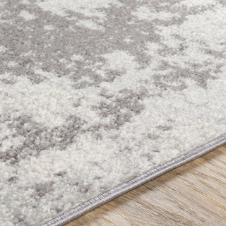 Livabliss Chester CHE-2340 Area Rug