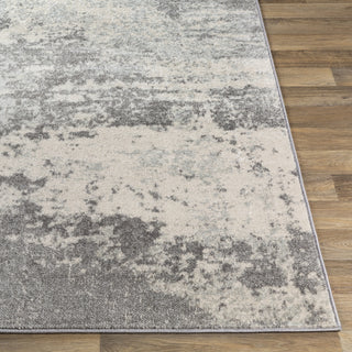 Livabliss Chester CHE-2343 Area Rug