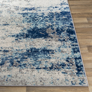 Livabliss Chester CHE-2344 Area Rug