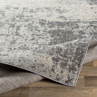 Surya Chester CHE-2345 Area Rug