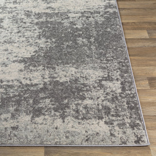 Surya Chester CHE-2345 Area Rug