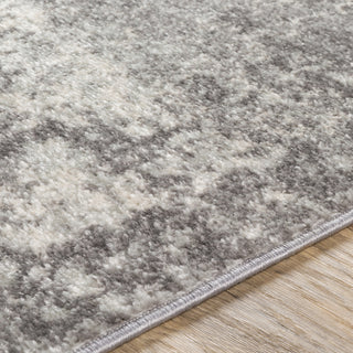 Surya Chester CHE-2345 Area Rug