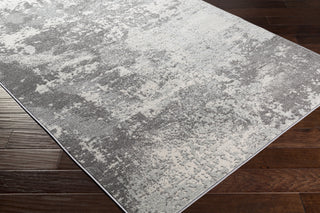 Surya Chester CHE-2347 Area Rug