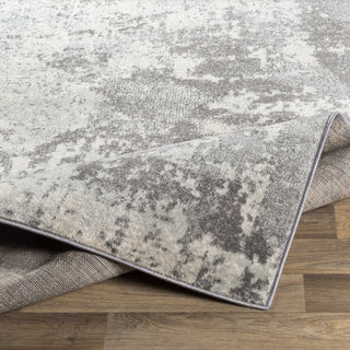 Surya Chester CHE-2347 Area Rug