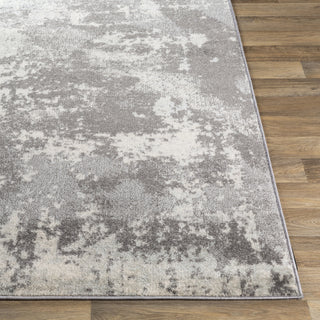 Surya Chester CHE-2347 Area Rug