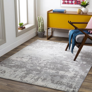 Surya Chester CHE-2347 Area Rug Room Scene Feature