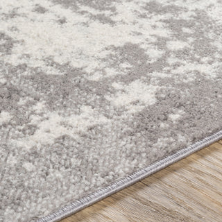 Surya Chester CHE-2347 Area Rug