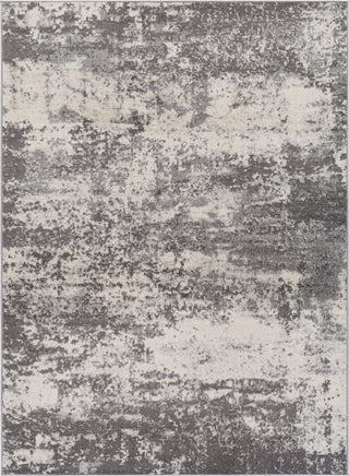 Surya Chester CHE-2348 Area Rug