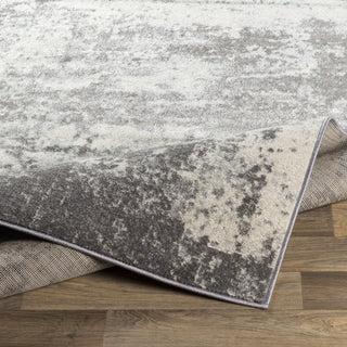 Surya Chester CHE-2348 Area Rug