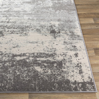 Surya Chester CHE-2348 Area Rug