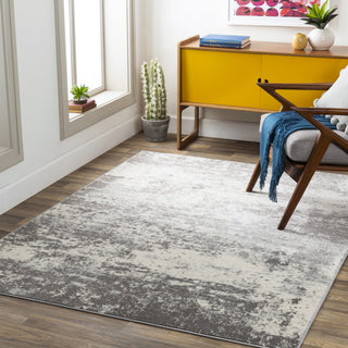 Surya Chester CHE-2348 Area Rug Room Scene Feature