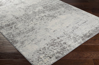 Surya Chester CHE-2353 Area Rug