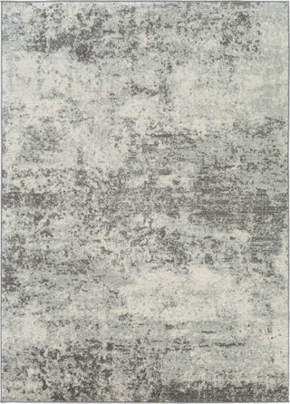 Surya Chester CHE-2353 Area Rug