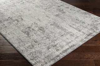 Surya Chester CHE-2357 Area Rug