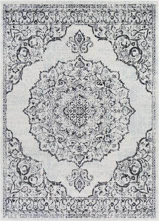 Surya Chester CHE-2377 Area Rug