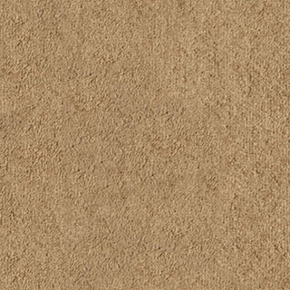 Orian Rugs Cherokee Big Spring Beige Area Rug Swatch