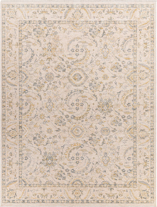 Surya Chicago CHG-2300 Area Rug Main Image 7'10 X 10' Size