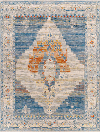 Surya Chicago CHG-2303 Area Rug Main Image 7'10"x10'