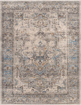 Surya Chicago CHG-2312 Area Rug Main Image 7'10"x10'