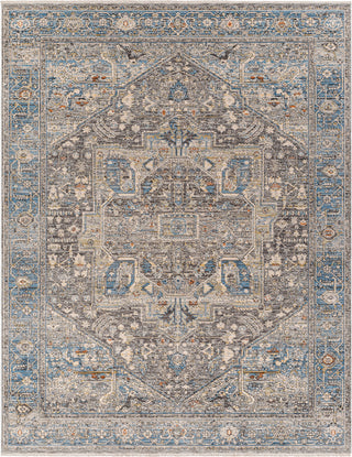 Surya Chicago CHG-2313 Area Rug Main Image 7'10"x10' 