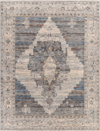 Surya Chicago CHG-2314 Area Rug Main Image 7'10"x10'