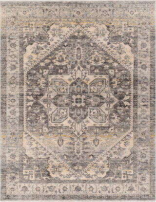 Surya Chicago CHG-2316 Area Rug main image