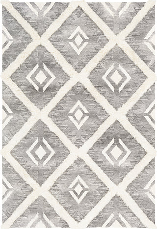 Surya Cherokee CHK-2303 Area Rug main image