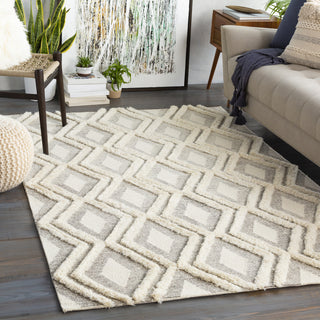 Livabliss Cherokee CHK-2305 Area Rug