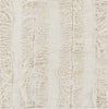 Surya Chloe CHL-7000 Area Rug by Papilio Sample Swatch