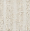 Surya Chloe CHL-7000 Area Rug by Papilio 1'6'' X 1'6'' Sample Swatch