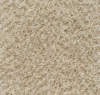 Surya Charlie CHR-2000 White Area Rug Sample Swatch