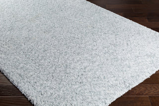 Surya Charlie CHR-2002 Area Rug Corner Shot Feature